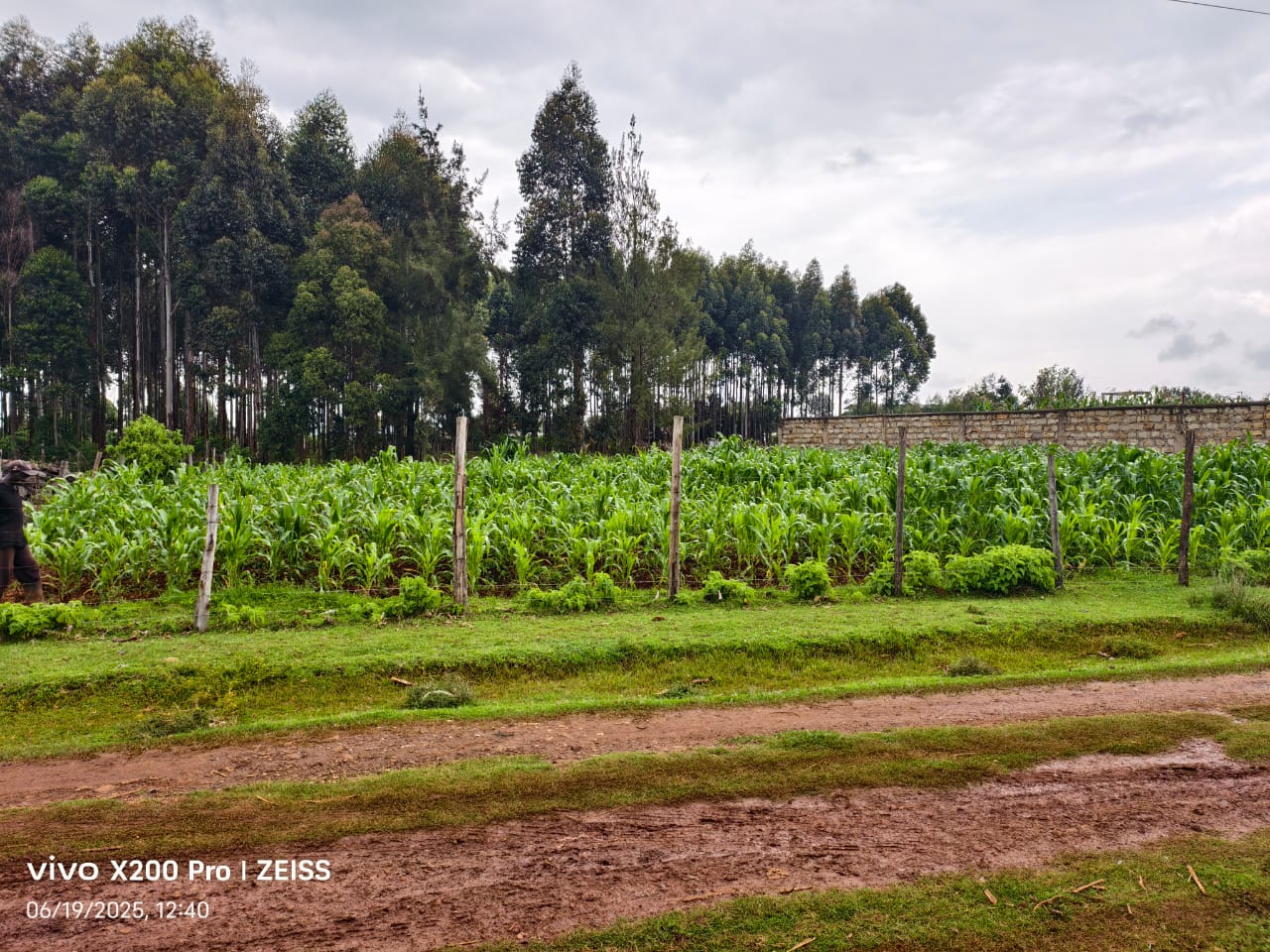 Residential Land for Sale – Kimumu, Chebarus (Eldoret)