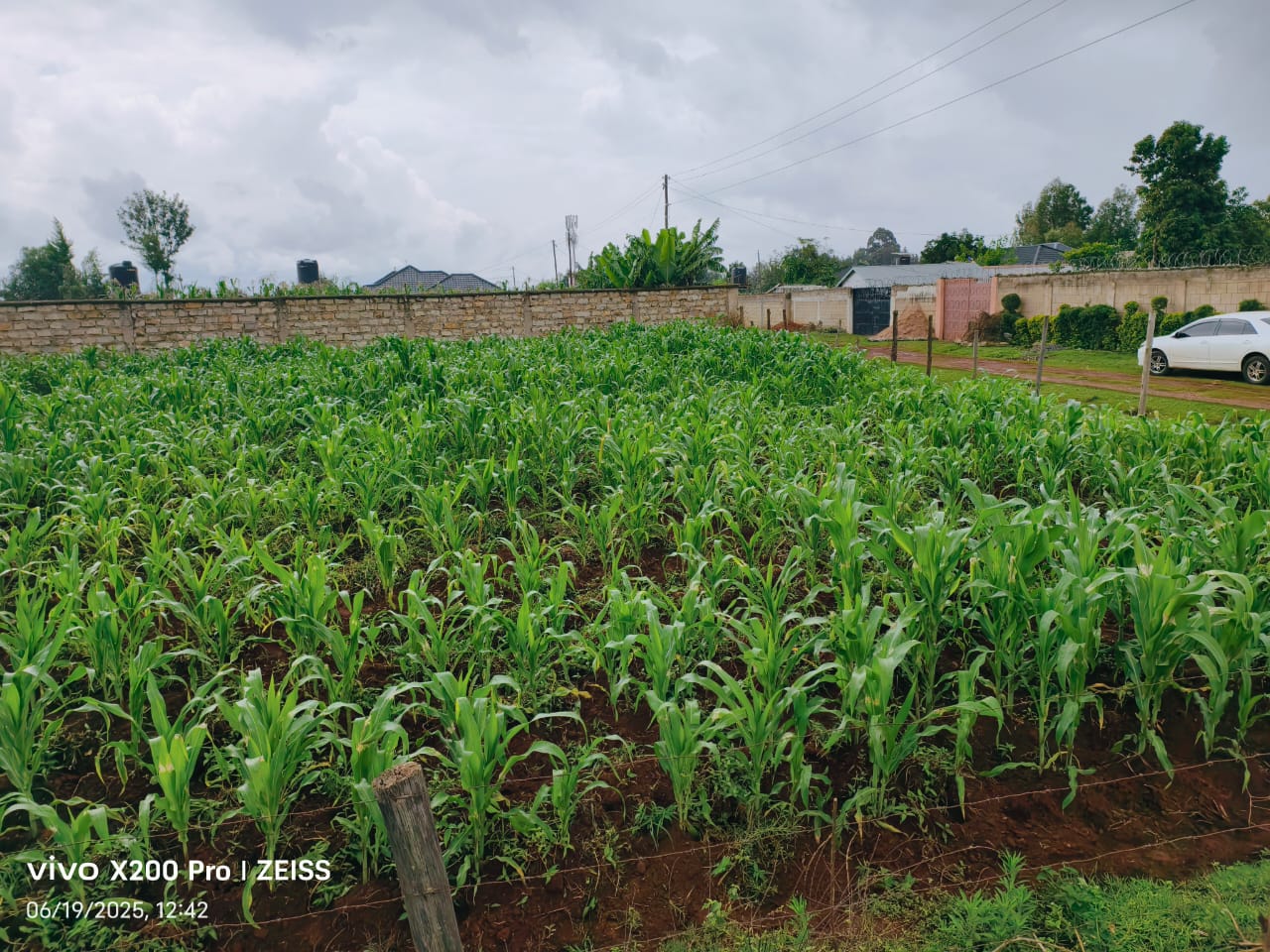 Residential Land for Sale – Kimumu, Chebarus (Eldoret)