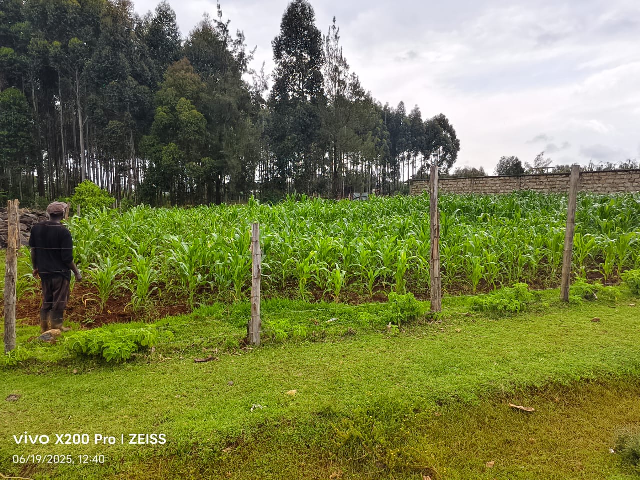 Residential Land for Sale – Kimumu, Chebarus (Eldoret)