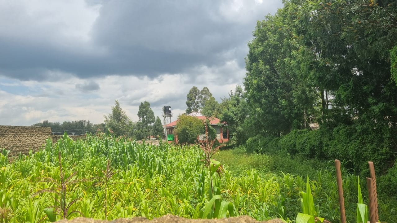 Residential Land for Sale –Kapsoya, Border Farm (Eldoret)
