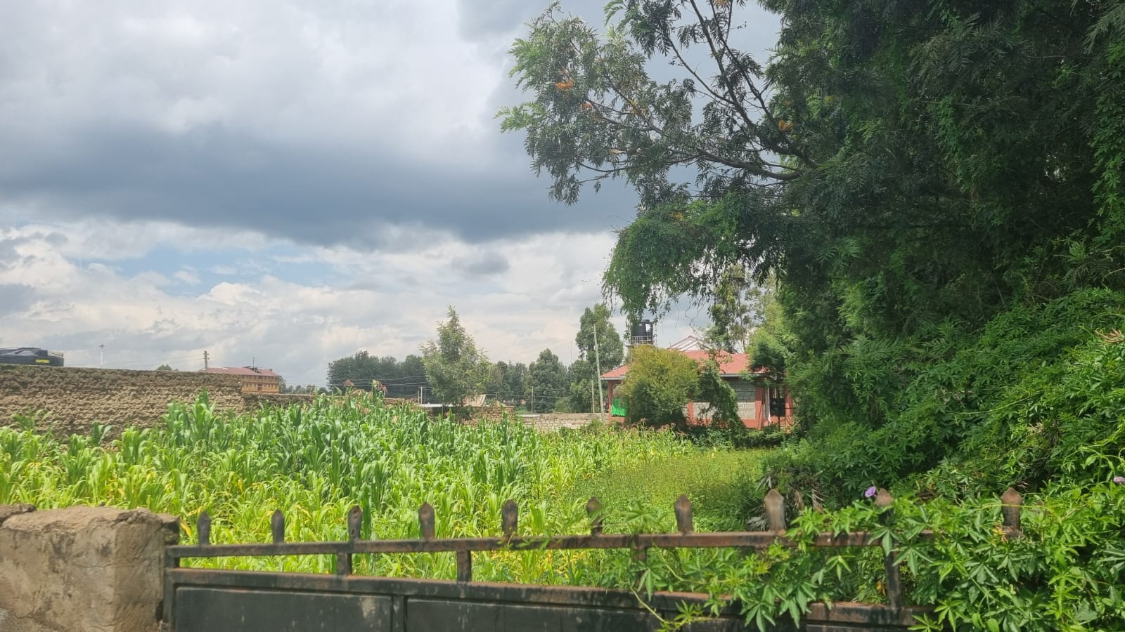 Residential Land for Sale –Kapsoya, Border Farm (Eldoret)