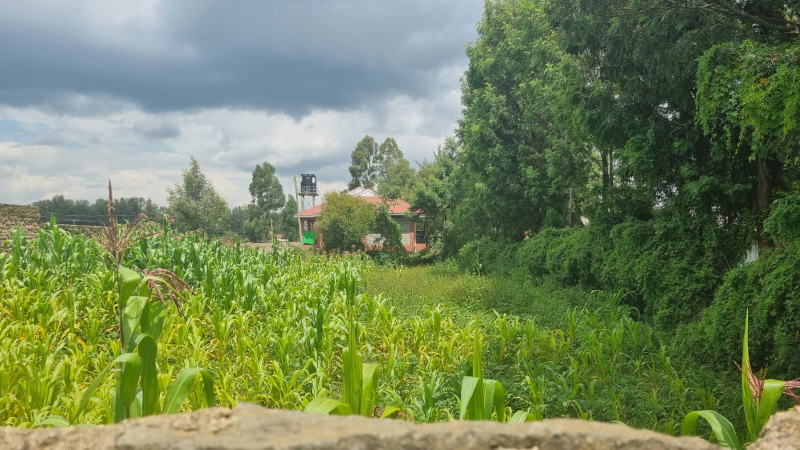 Residential Land for Sale –Kapsoya, Border Farm (Eldoret)