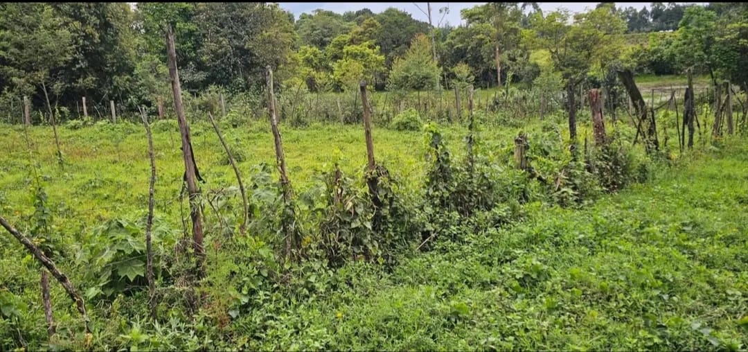 8 ACRES WITH A MODERN 3-BEDROOM BUNGALOW FOR SALE – MLANGO, KAPSERET (ELDORET)