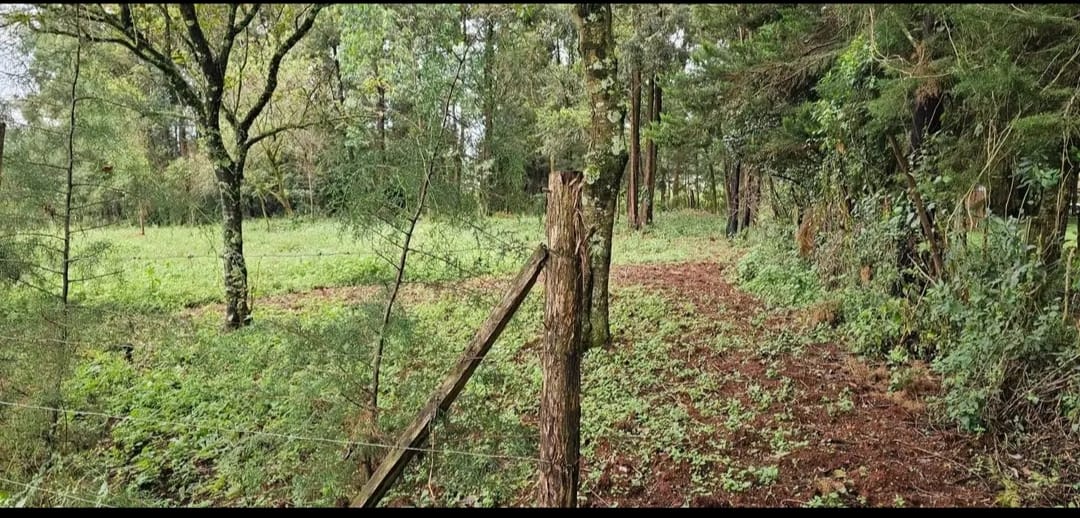 8 ACRES WITH A MODERN 3-BEDROOM BUNGALOW FOR SALE – MLANGO, KAPSERET (ELDORET)