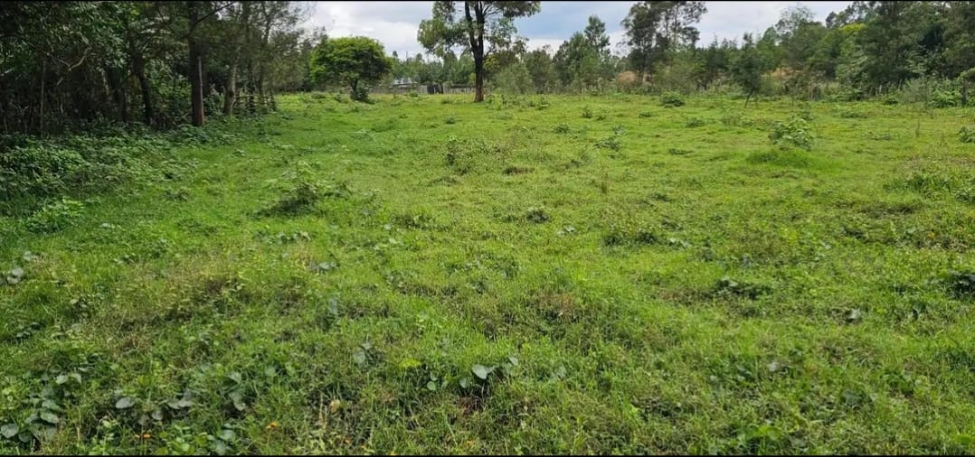 8 ACRES WITH A MODERN 3-BEDROOM BUNGALOW FOR SALE – MLANGO, KAPSERET (ELDORET)