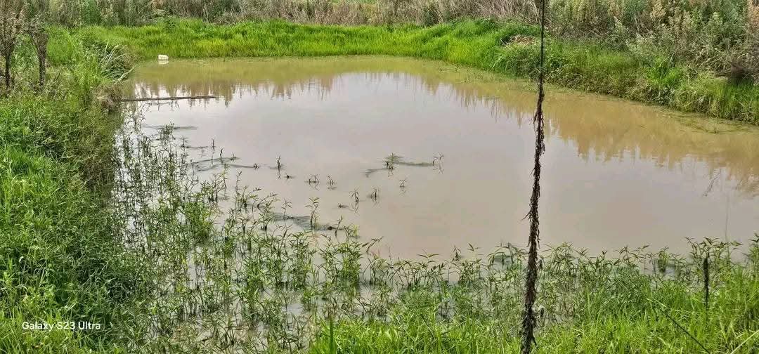 20 ACRES WITH A MODERN 5-BEDROOM HOME FOR SALE – KIPLOMBE (NEAR KAPLELACH), ELDORET