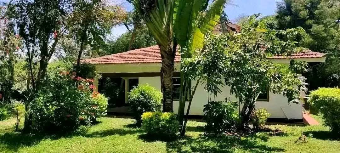 PRIME RESIDENTIAL PROPERTY FOR SALE – SOY, KAKAMEGA