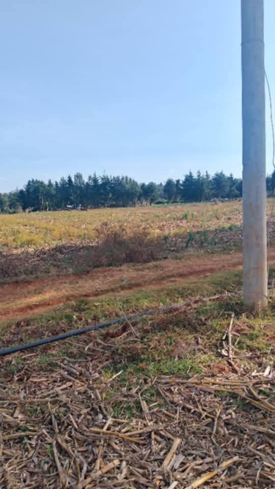 PRIME 1½ ACRES OF AGRICULTURAL LAND FOR SALE