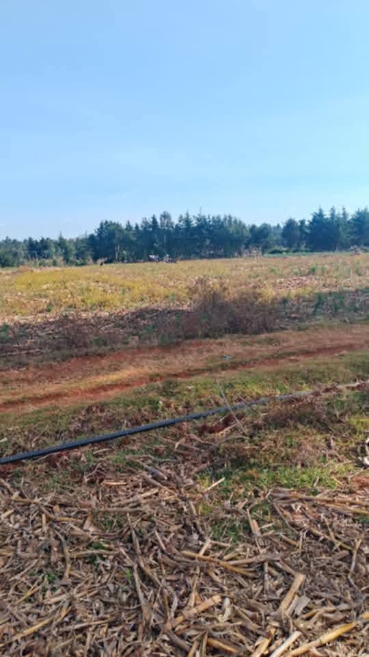 PRIME 1½ ACRES OF AGRICULTURAL LAND FOR SALE