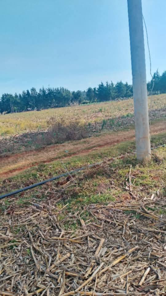 PRIME 1½ ACRES OF AGRICULTURAL LAND FOR SALE