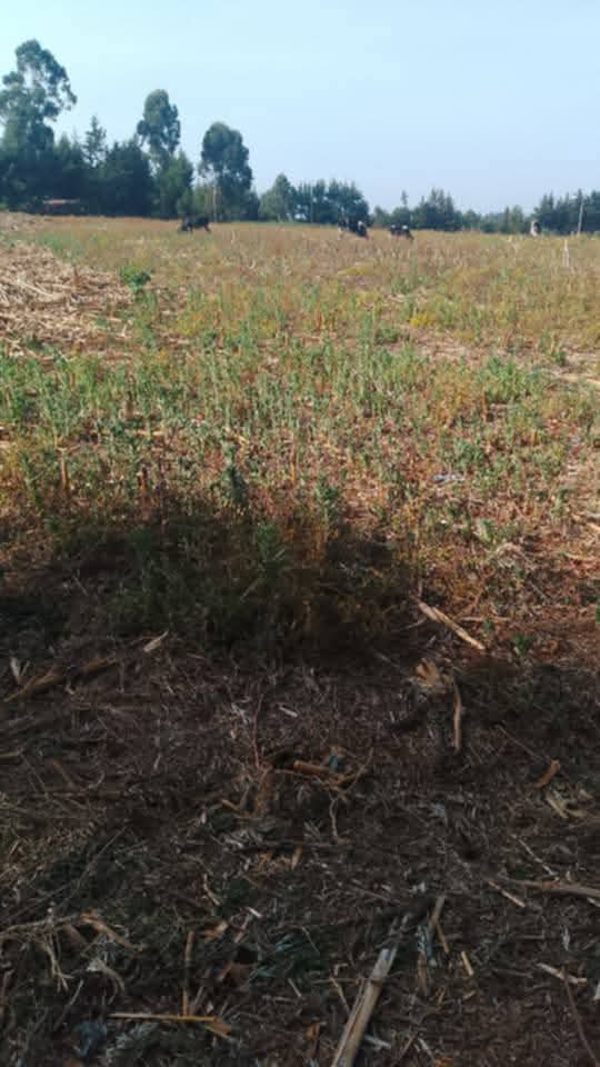 PRIME 1½ ACRES OF AGRICULTURAL LAND FOR SALE