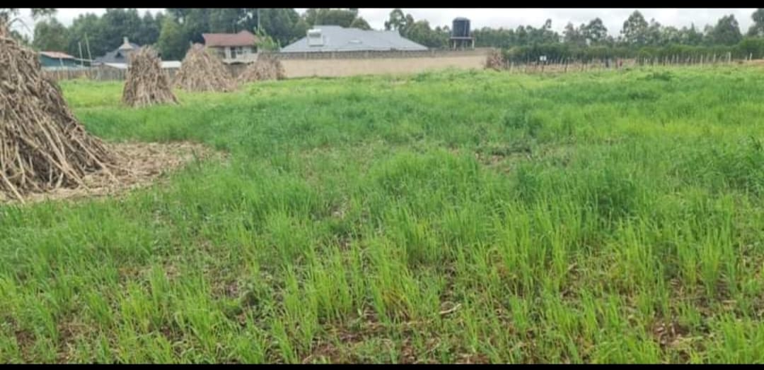 PRIME ½ ACRE INVESTMENT LAND – OUTSPAN, ELDORET