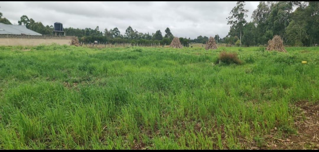 PRIME ½ ACRE INVESTMENT LAND – OUTSPAN, ELDORET