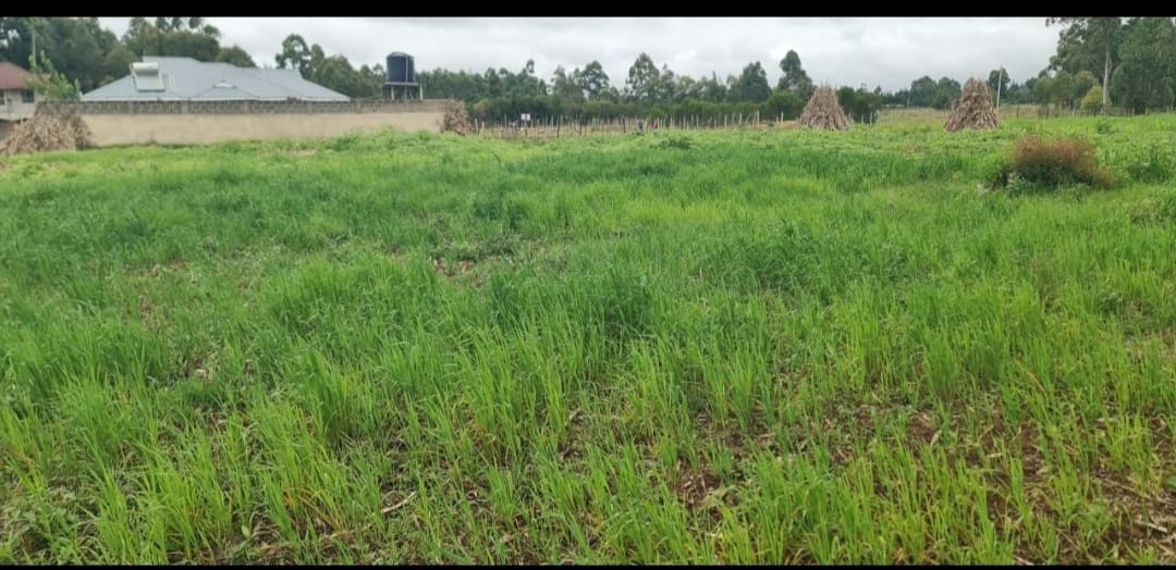 PRIME ½ ACRE INVESTMENT LAND – OUTSPAN, ELDORET