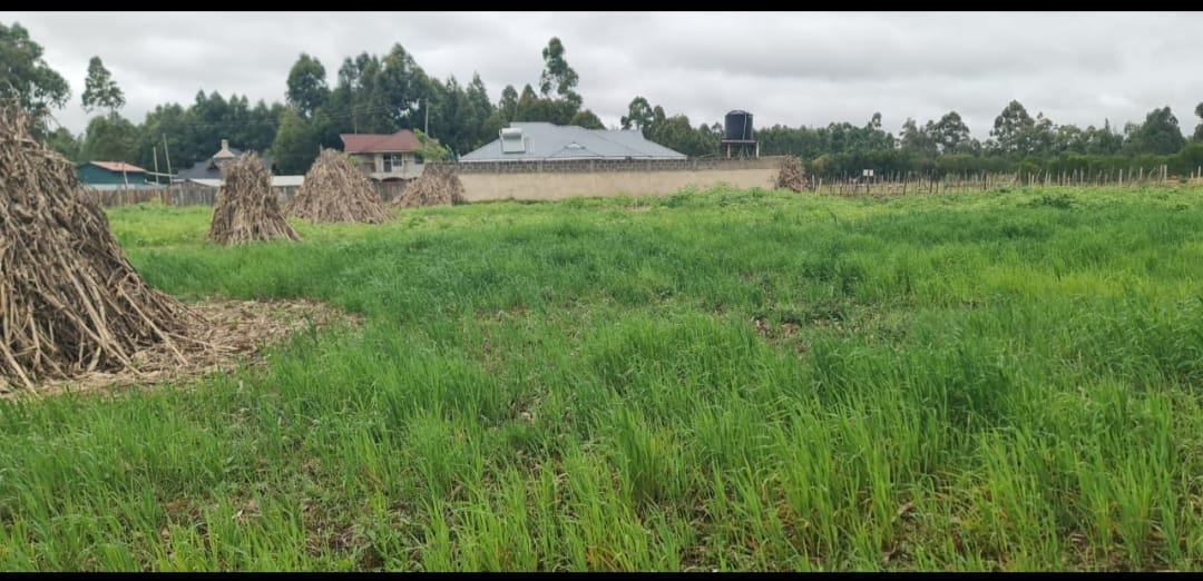 PRIME ½ ACRE INVESTMENT LAND – OUTSPAN, ELDORET