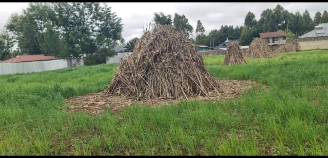 PRIME ½ ACRE INVESTMENT LAND – OUTSPAN, ELDORET