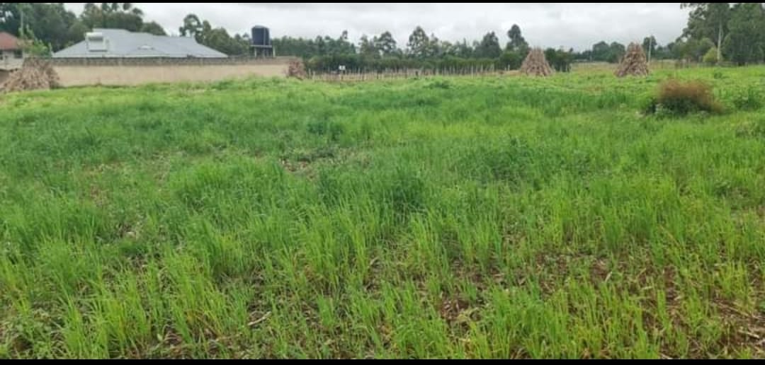 PRIME ½ ACRE INVESTMENT LAND – OUTSPAN, ELDORET