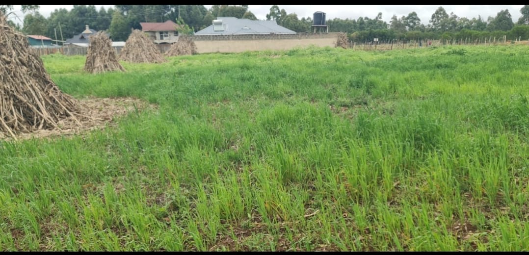 PRIME ½ ACRE INVESTMENT LAND – OUTSPAN, ELDORET