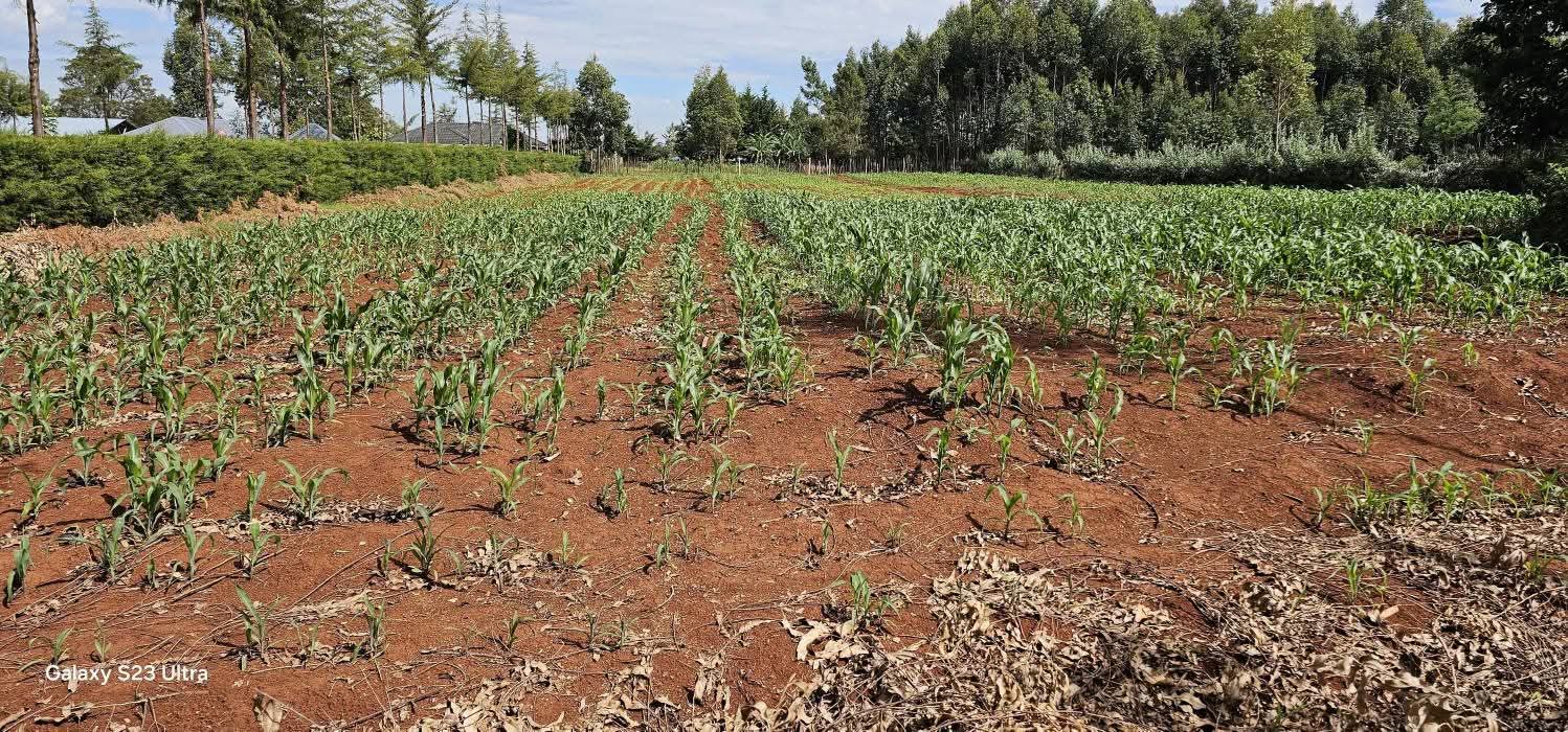 PRIME 1-ACRE INVESTMENT PLOT FOR SALE – KAPSERET BYPASS, ELDORET