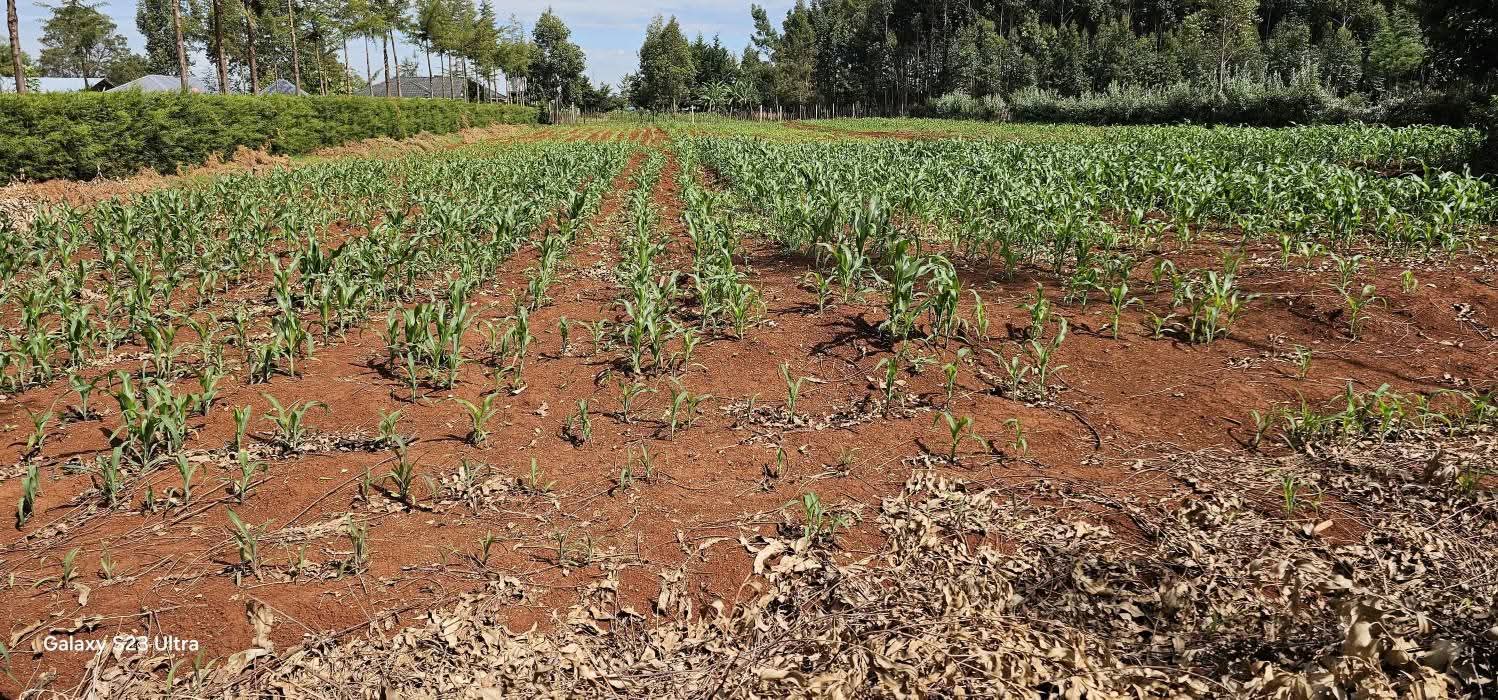 PRIME 1-ACRE INVESTMENT PLOT FOR SALE – KAPSERET BYPASS, ELDORET