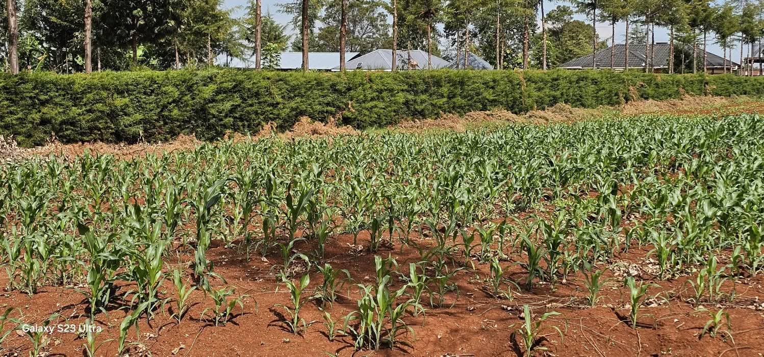 PRIME 1-ACRE INVESTMENT PLOT FOR SALE – KAPSERET BYPASS, ELDORET