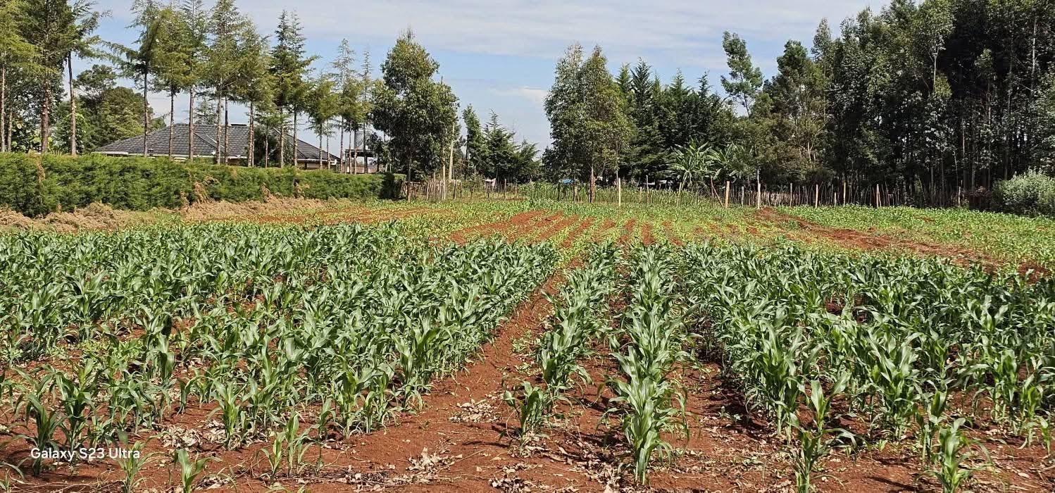 PRIME 1-ACRE INVESTMENT PLOT FOR SALE – KAPSERET BYPASS, ELDORET