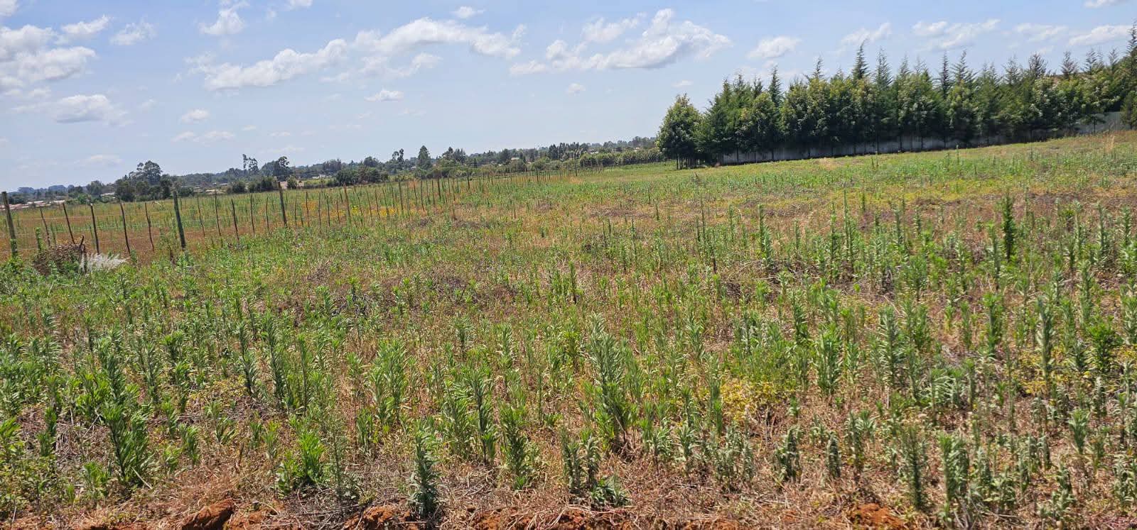 PRIME 1-ACRE INVESTMENT LAND FOR SALE – MARURA, ELDORET