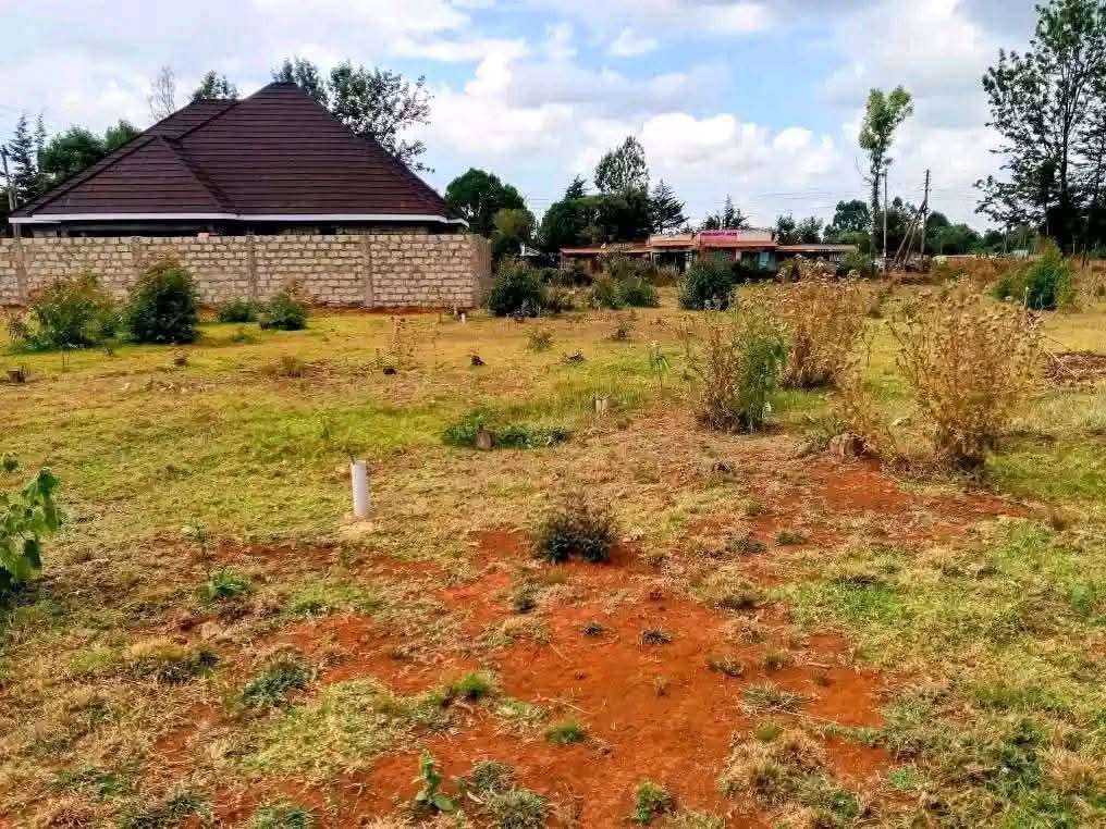 PRIME 1/8 ACRE PLOTS FOR SALE – RACECOURSE, ELDORET