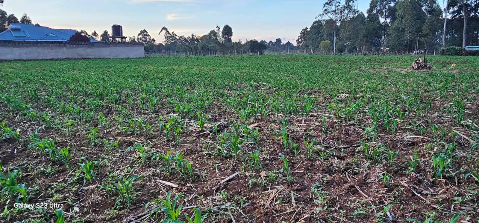 VERY PRIME ½ ACRE LAND FOR SALE – OUTSPAN, ELDORET