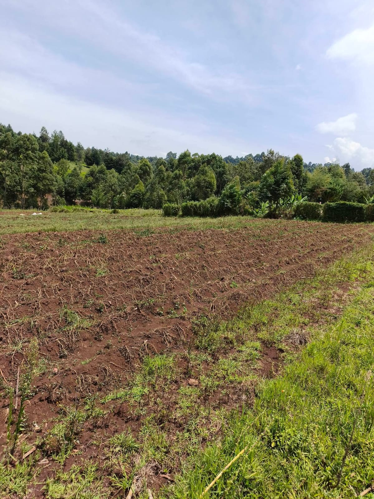 KIPCHIMCHIM, AINAMOI – KERICHO COUNTY