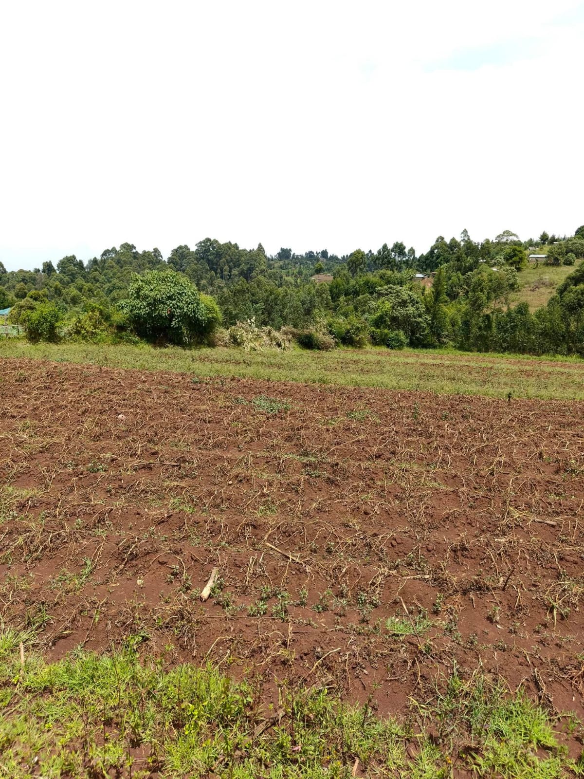 KIPCHIMCHIM, AINAMOI – KERICHO COUNTY