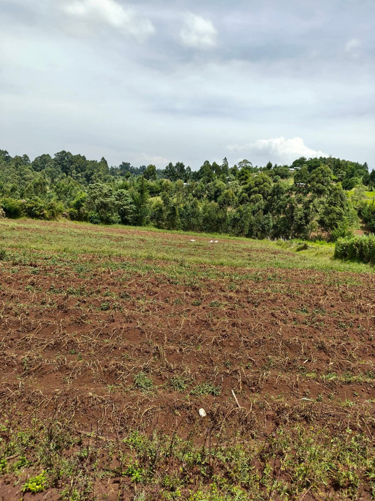 KIPCHIMCHIM, AINAMOI – KERICHO COUNTY