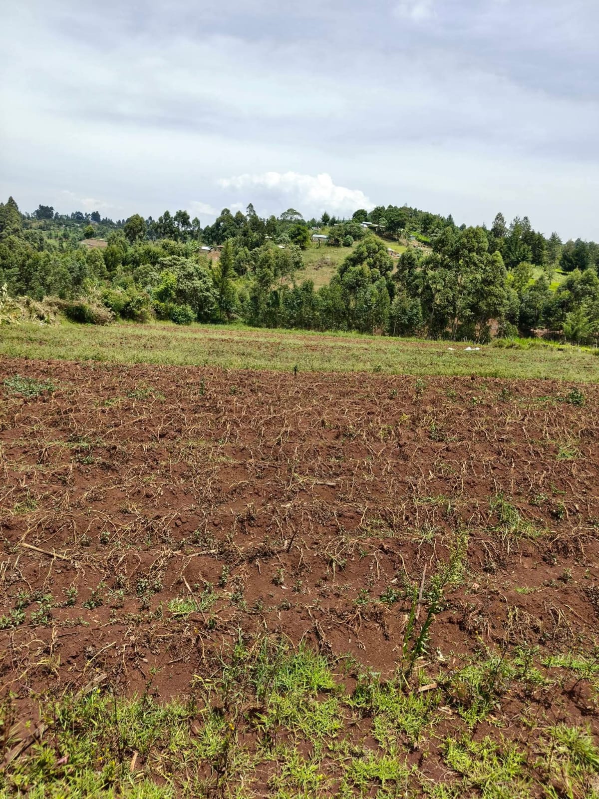KIPCHIMCHIM, AINAMOI – KERICHO COUNTY