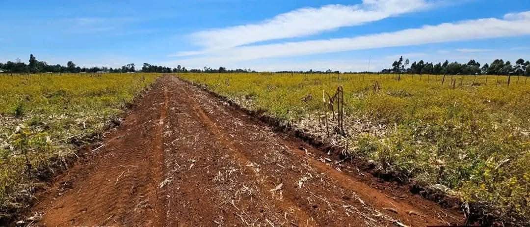 PRIME ¼ ACRE PLOTS FOR SALE – ILLULA, ELDORET