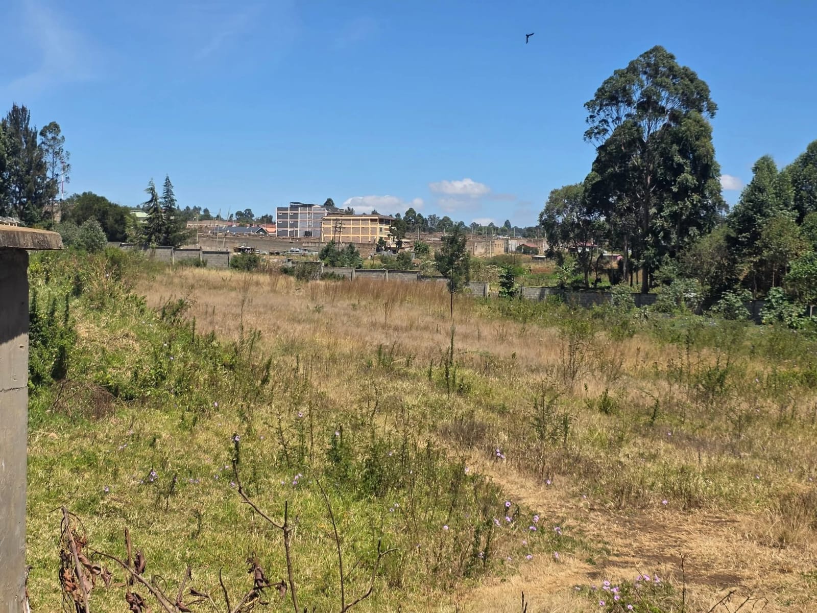 PRIME 1-ACRE COMMERCIAL LAND FOR SALE – ELDORET