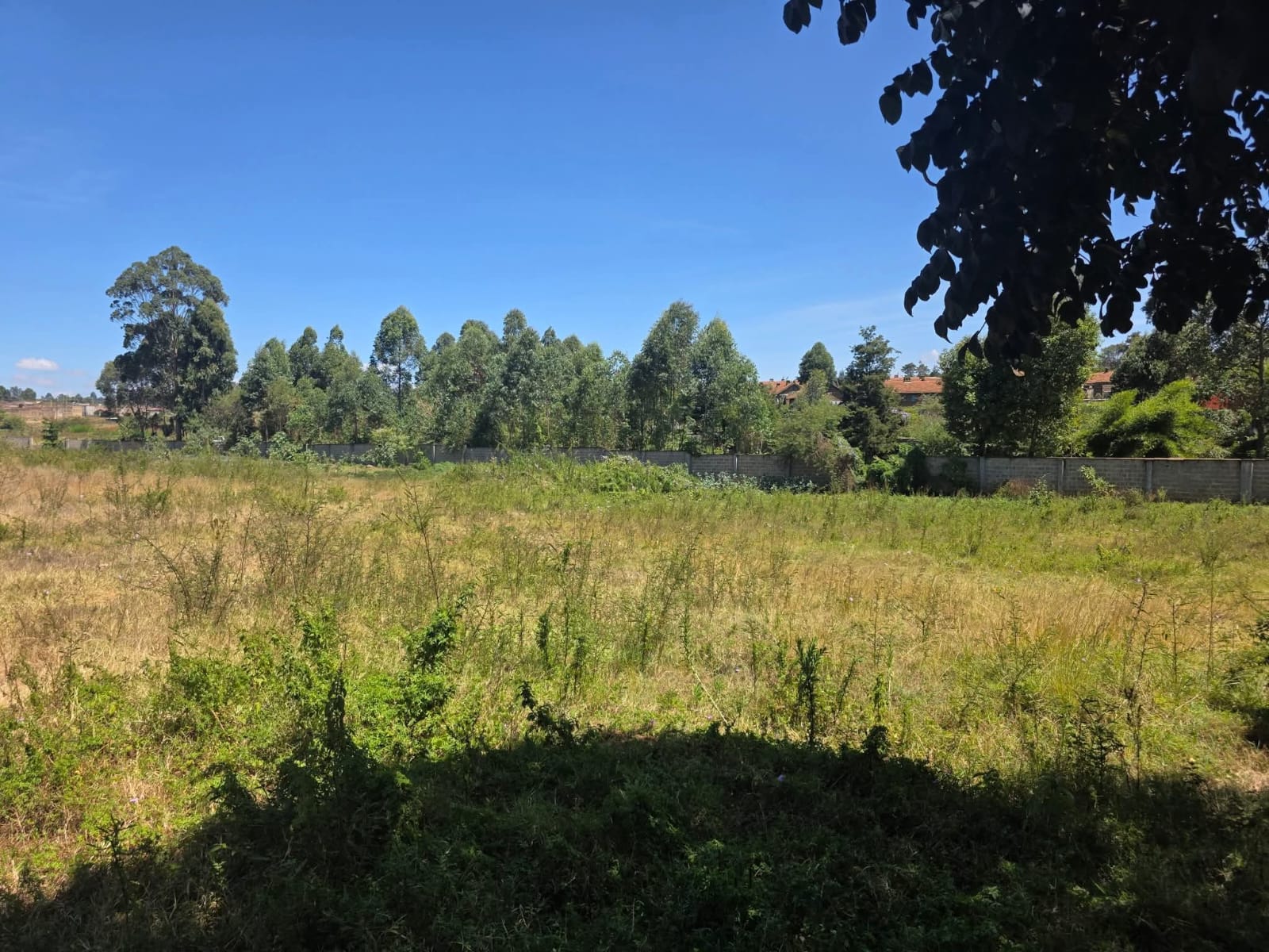 PRIME 1-ACRE COMMERCIAL LAND FOR SALE – ELDORET