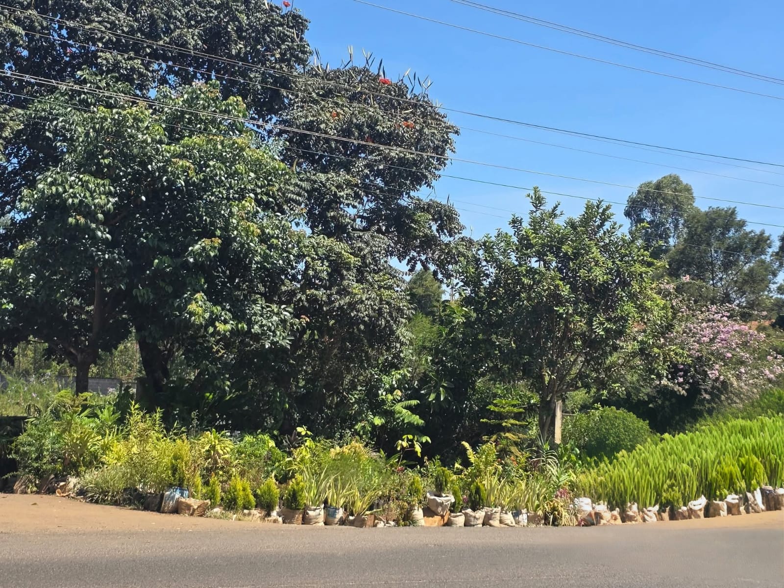 PRIME 1-ACRE COMMERCIAL LAND FOR SALE – ELDORET