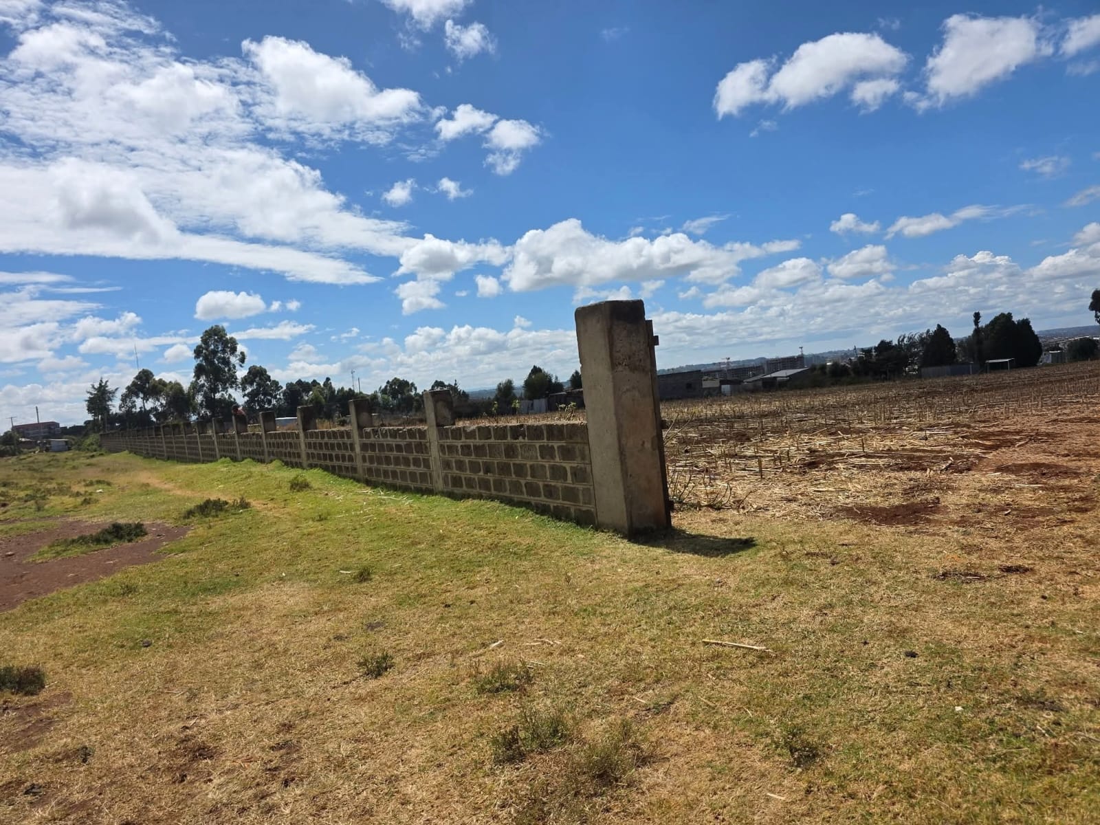 5 ACRES FOR SALE / LEASE – ELDORET
