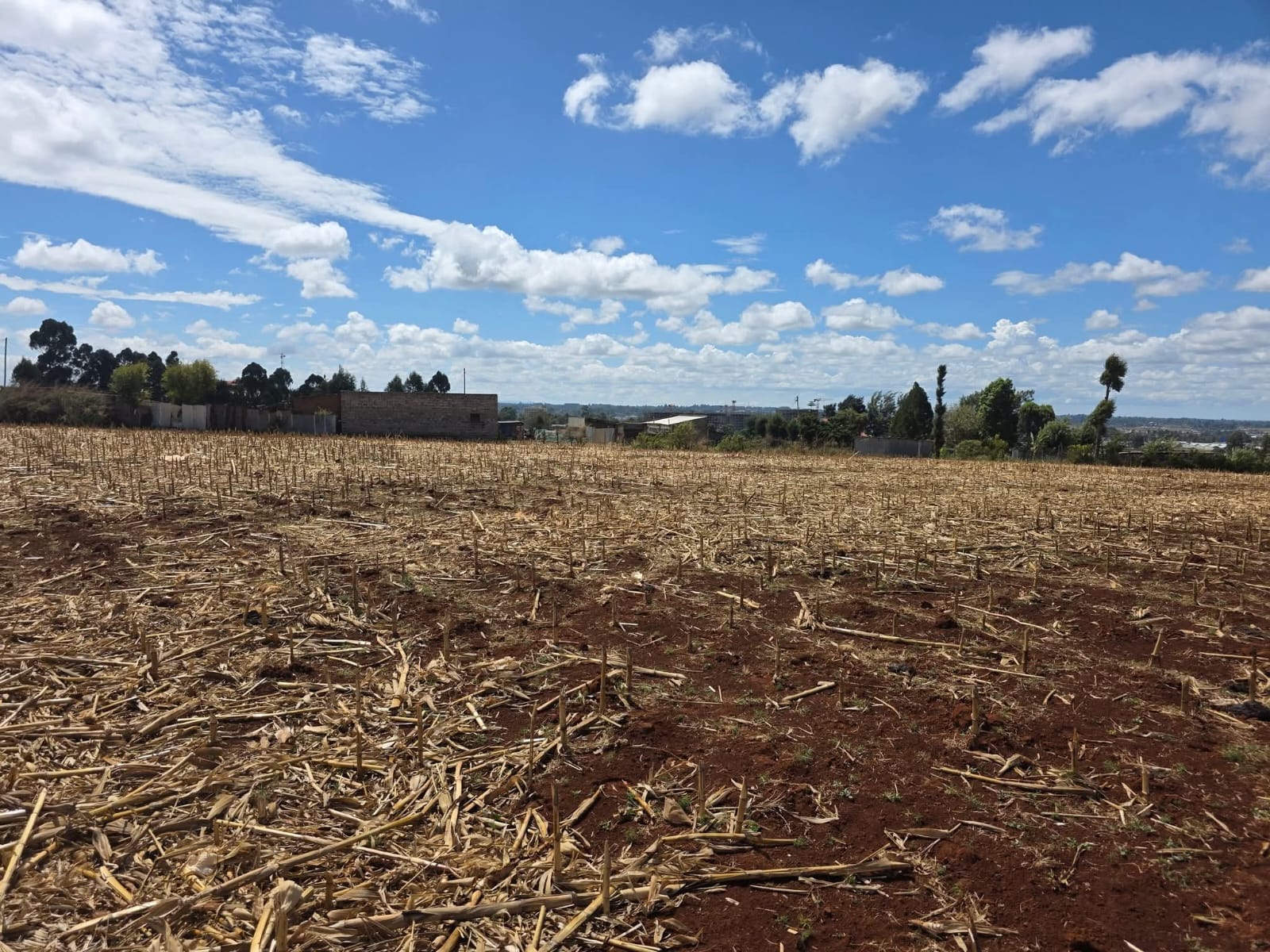 5 ACRES FOR SALE / LEASE – ELDORET