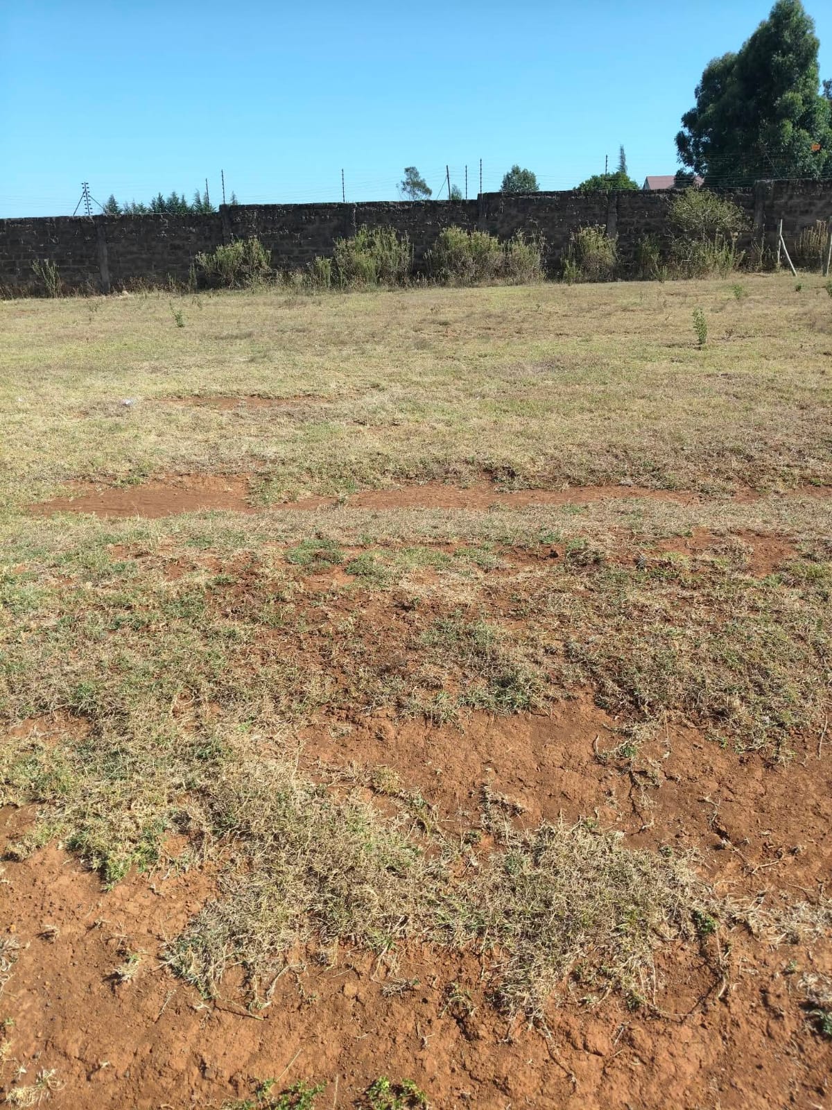 PRIME ¼ ACRE LAND FOR SALE – ANNEX, ELDORET