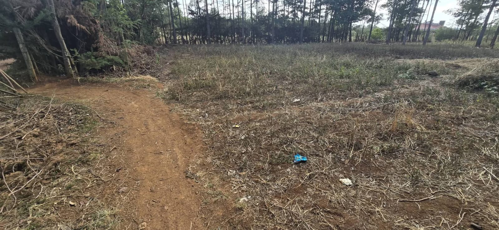 ½ ACRE RESIDENTIAL PLOT FOR SALE – CHEBARUS, KIMUMU