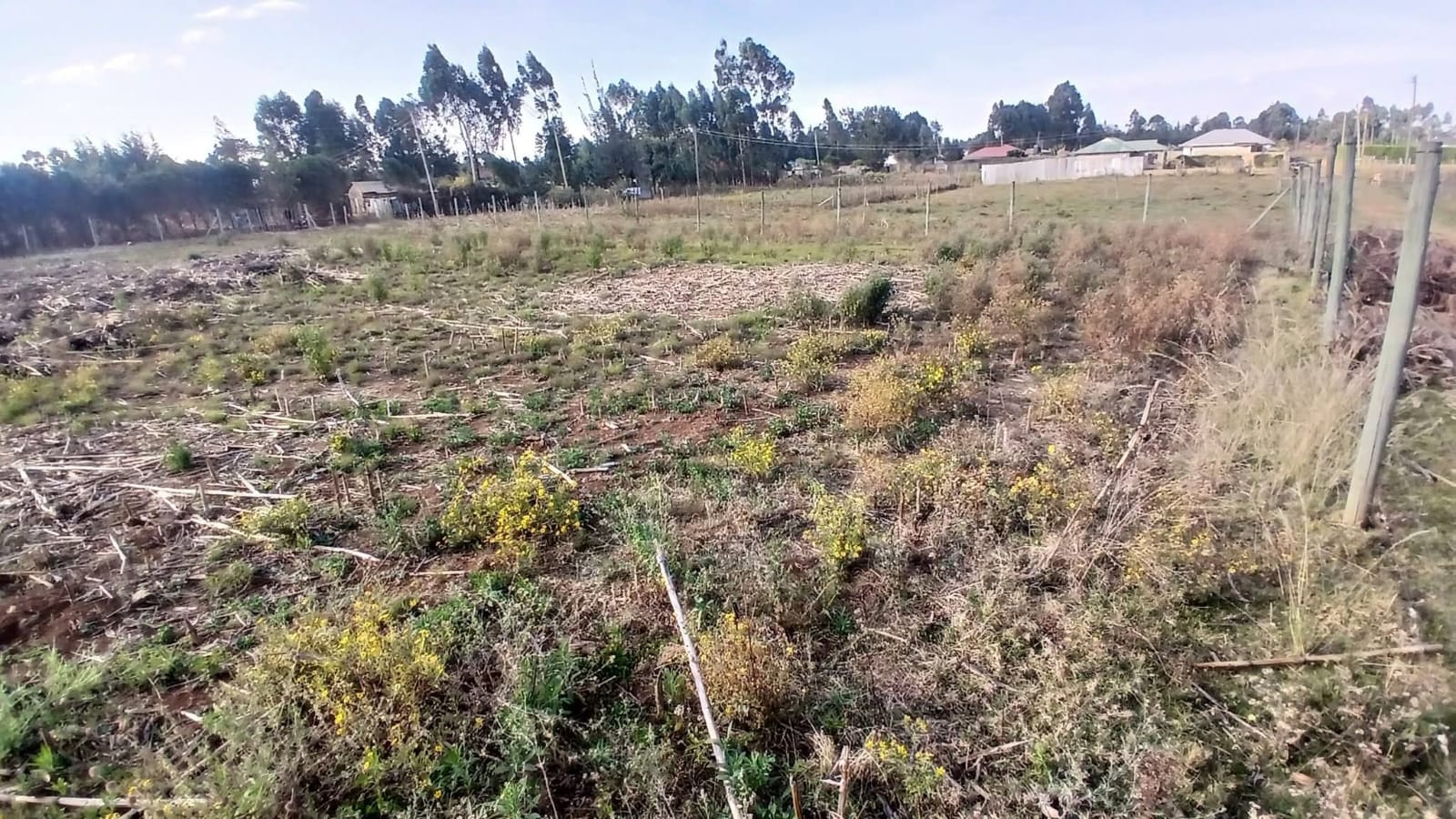 ILULA PRIME RESIDENTIAL PLOTS – ELDORET