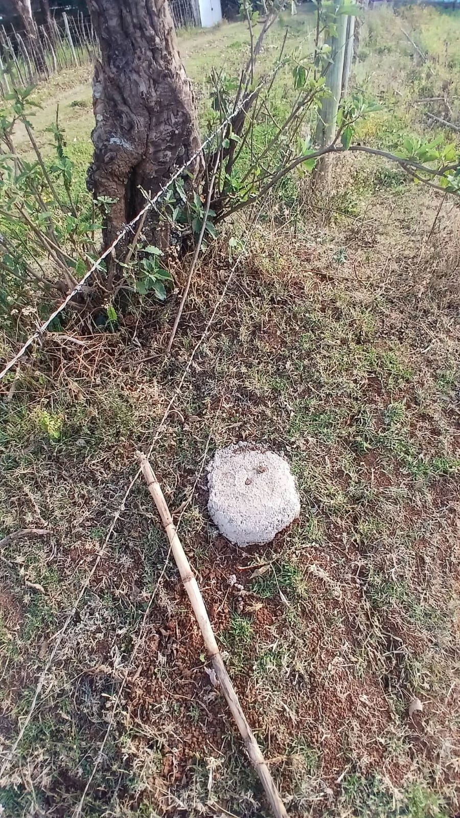 ILULA PRIME RESIDENTIAL PLOTS – ELDORET