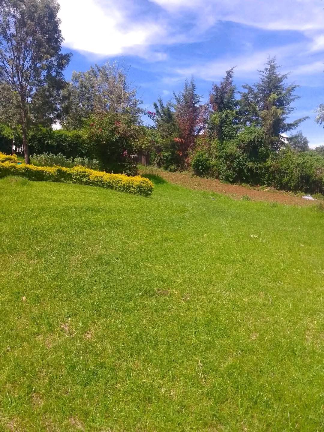 1 ACRE PROPERTY WITH HOUSE FOR SALE – UPPER ELGON VIEW, ELDORET