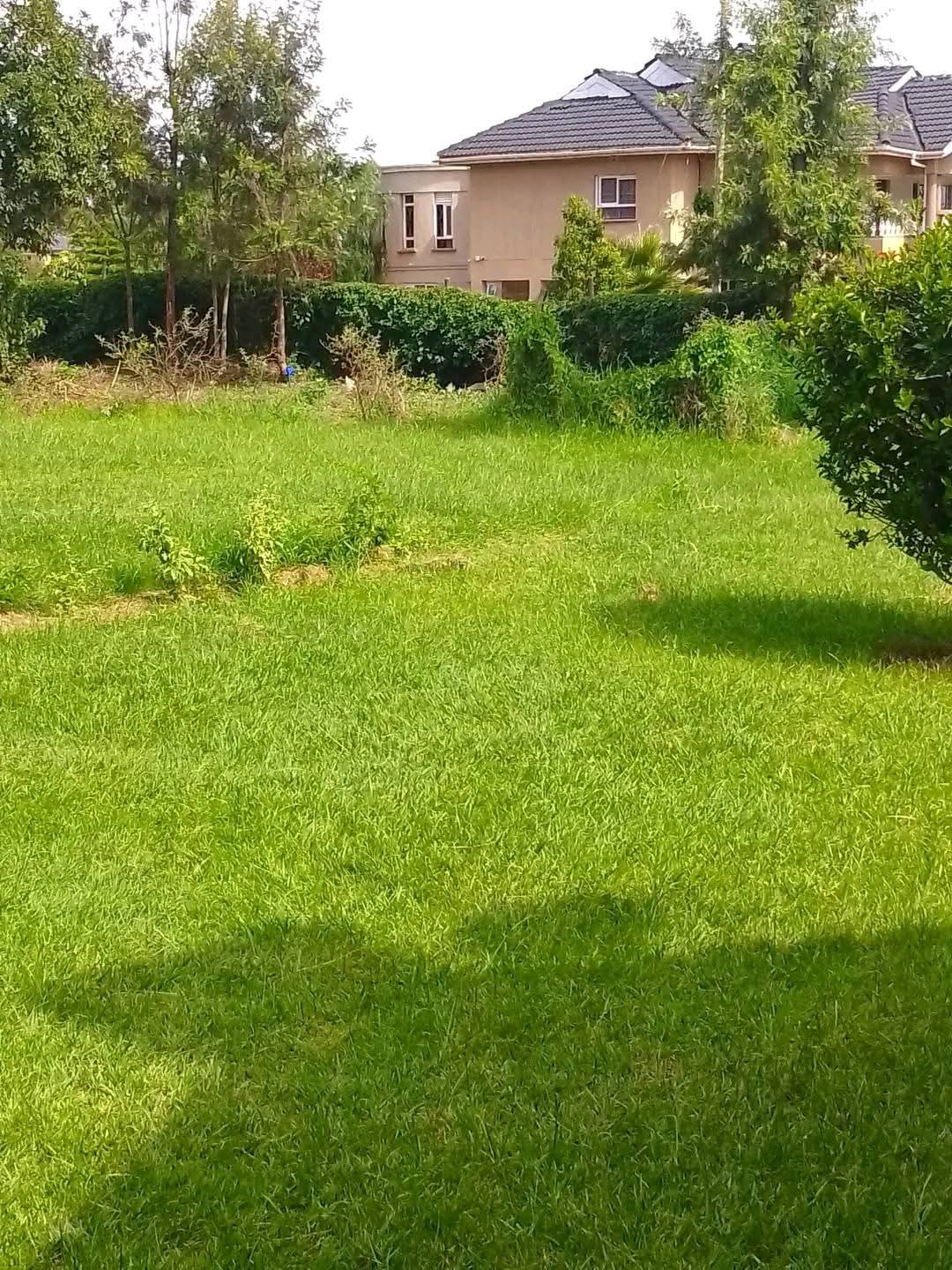 1 ACRE PROPERTY WITH HOUSE FOR SALE – UPPER ELGON VIEW, ELDORET