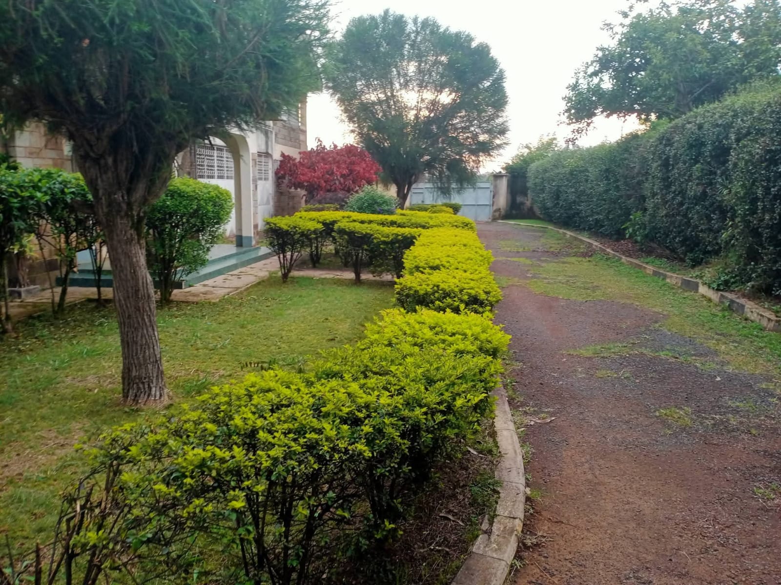 VERY PRIME HOUSE-COMPLEX FOR SALE – UPPER ELGON VIEW, ELDORET