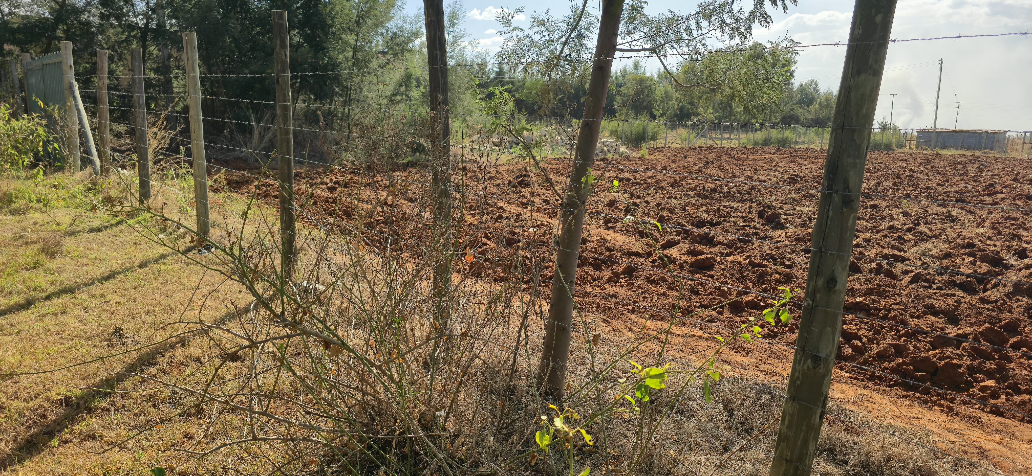 2-ACRE PRIME PROPERTY FOR SALE – CHEPKANGA (MWISHO WA LAMI)