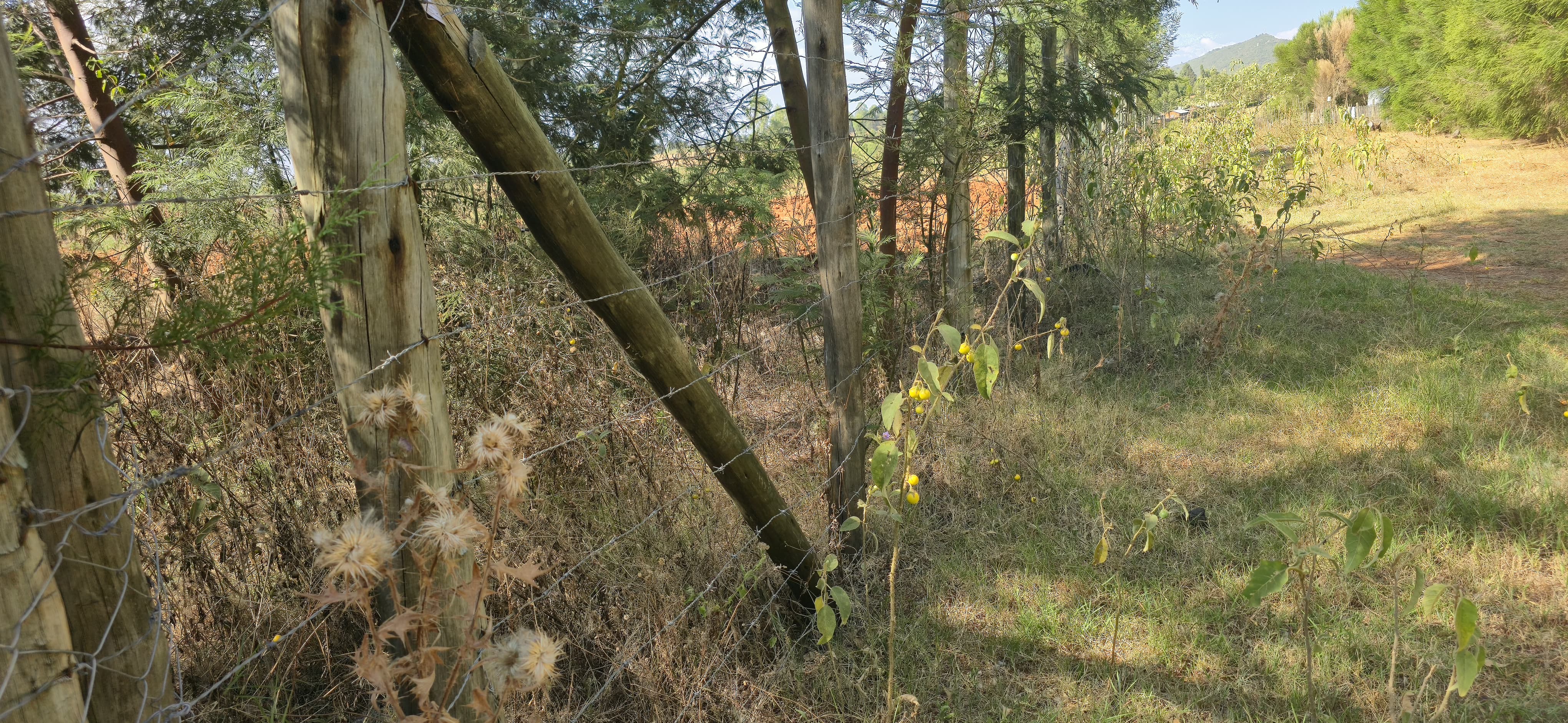 2-ACRE PRIME PROPERTY FOR SALE – CHEPKANGA (MWISHO WA LAMI)