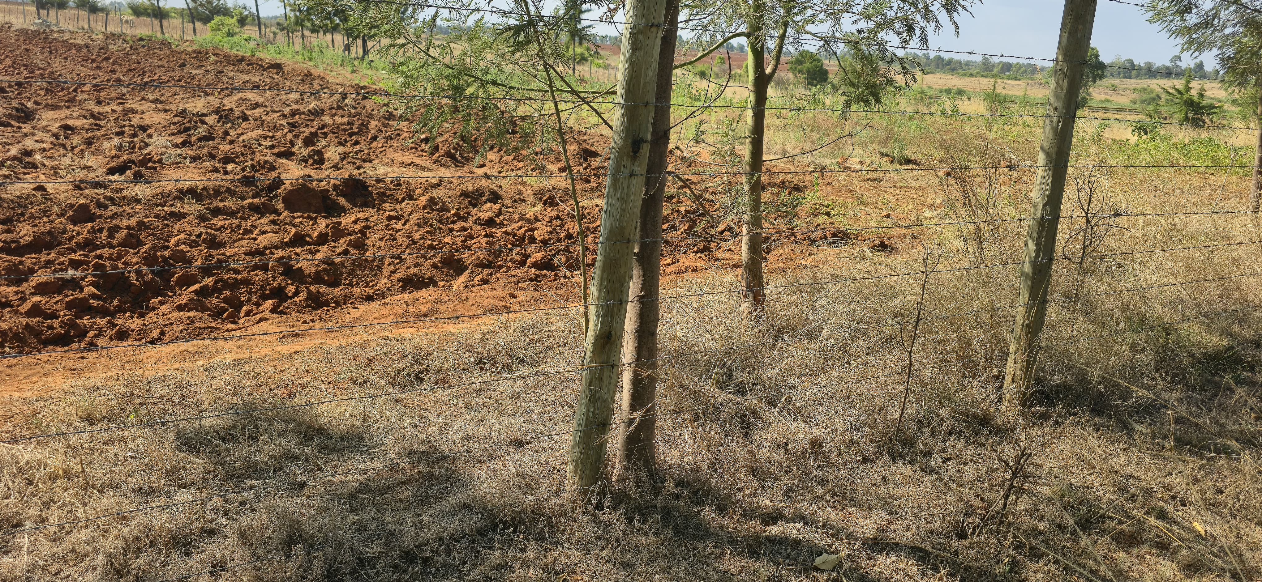 2-ACRE PRIME PROPERTY FOR SALE – CHEPKANGA (MWISHO WA LAMI)