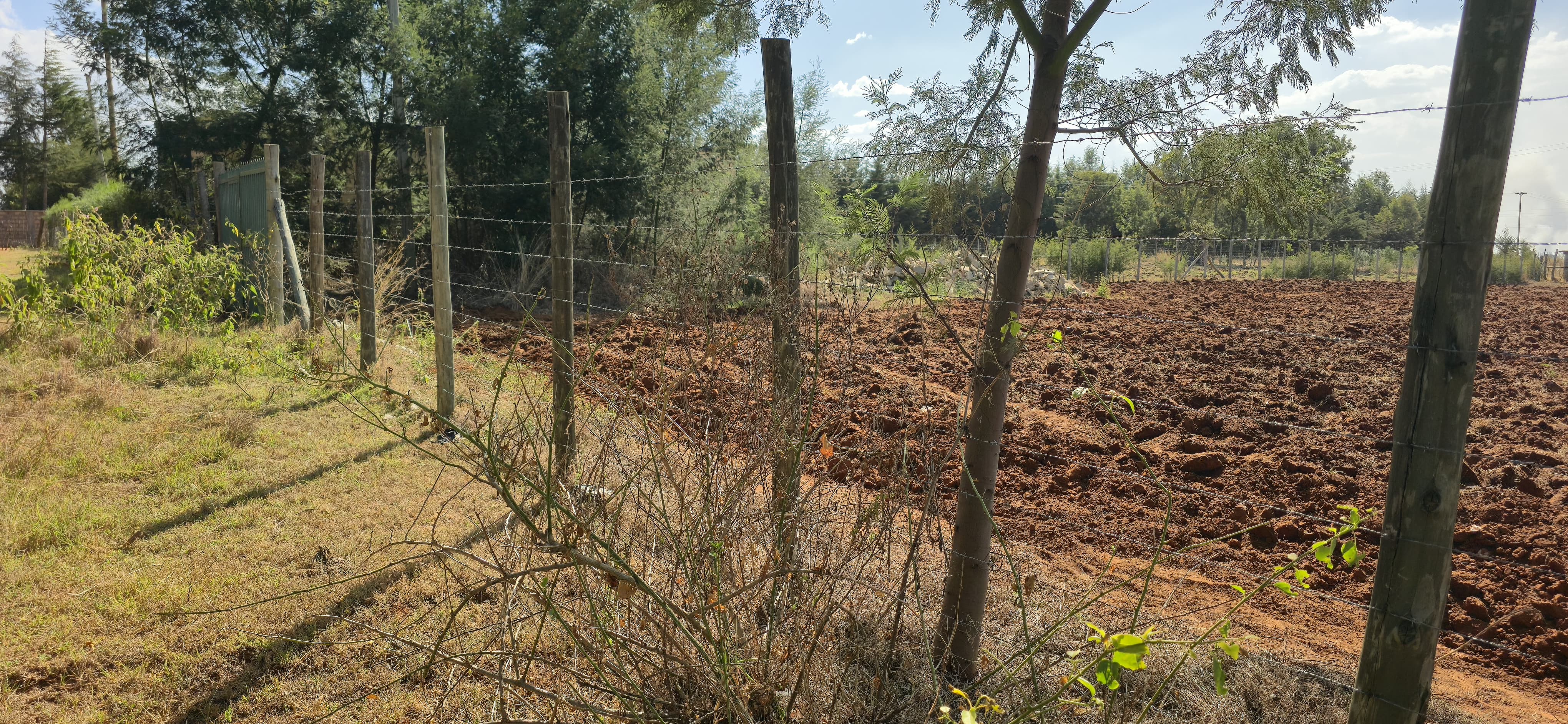 2-ACRE PRIME PROPERTY FOR SALE – CHEPKANGA (MWISHO WA LAMI)